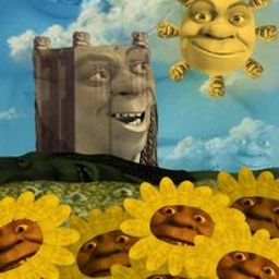 Coin image for HffJFnfuUjDk6rfKxafdg8dsjfocZ6sqjbvyJ39Dpump