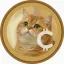 Coin image for HgKJs9WGy4c4r1SNfzCtzRTyzv73Usv4vNL8BjZHpump