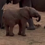 Coin image for HgMq7cs5tPSLjKyKYgnhbhzmHWLucGPvCWqb9aLie5Ge