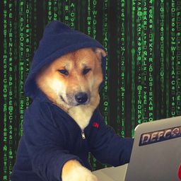 Coin image for Hhug66dK3FpmFPX4vXFcZ3wzXgBSdYtxuTmPcFMypump