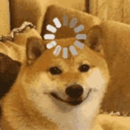 Coin image for HitruhXLvX7kDBDraK9cE8vTYMAkJpBMRvx38ND6pump