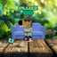 Coin image for HjuazeRf9QNiXhWQBGwxbTPDD2vcYNSdSH4XyuMmpump
