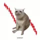 Coin image for HkLwUNq8PLxVAS9eKCWTuREFgbWZma1NCSHNDmDdxXRQ