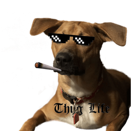Coin image for HmLQTCMkvU1vHfYPXdrZCKSoFKHe6ttCKHtXbSt7pump