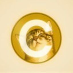 Coin image for HmYVri2mBGoMhL3pid4AVBEPMZvghmbToyU2qvMTpump