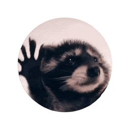 Coin image for HmmHaUBDekAcAfc5scdZsG1ydnsv9XWUAkRzPxLzpump