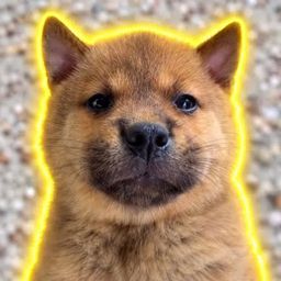Coin image for HoMYnRYQjSF5knTMuyGEECJcbC4d2aPSuAVKUtUXpump