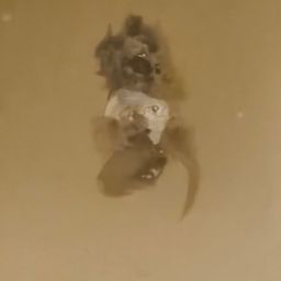 Coin image for HqedLkE3KonEARjVdAb1f6dFniqNY95xp9s8kVsupump