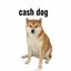 Coin image for HrRzTasGwNsVJceTiUpoZ8ECCGAkkXpWoz5zGQDPmhY3