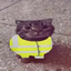 Coin image for HrpeaswFiaTEroRfZnJnCFsbq44JvTnmsh2AE1Rpump