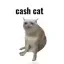 Coin image for HsArom44sH1kMbZ7AFKtxKF1t1MZr89r7jcMbBrTNo2u