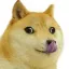 Coin image for HsGhQmCeioMzet194a2joVqifrHyJXVCrEP5L4ZRpump
