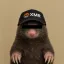 Coin image for Hsc1WVPayfcNKqfqQVdQXuR1FmkAwwnFNdjqsoMsURZ5