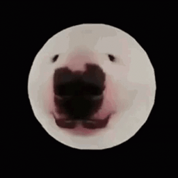 Coin image for HuQdVHWivrnuqcHtkF4FLe3DmtM53ku1SUnadpKzpump