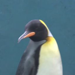 Coin image for HvSyKhigmUaA7Erj5ix4znZVPFFtWKyc72d7zJdPpump
