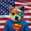 Coin image for HvuHhfeqTgcpHfb7J6jayKo9oQt9eXAFF5ySZTJDpump