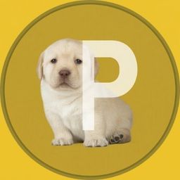 Coin image for Hw2CzMMQAEyJD2wtEMXGAto5fqX2R2SjKVELYvXBpump