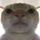 Coin image for HxAmgMU8LHQCEuBtQDzkFXXYawXuH7JQBzhVAaYPpump