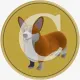 Coin image for HxFuUJsGTQyqfxebRMvwrgriiSJyi8TShexznMyWpump