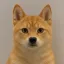 Coin image for HxjdEGFRSC8UShiZhujgRoJXRaTkgswMWv9PQzfHpump