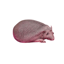 Coin image for Hz4pLogtNFswCCVEfPAVm5wymsYgYnnWDB3xvgGFpump