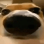 Coin image for J1CaDkgUyoHmCqeFNaksjw3aNynZm3VcZ85Mj5EdRXcX