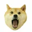 Coin image for J28RGobx2kTodcChfqUgkWAi2nHAjo3z8QcBHiwtpump