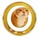 Coin image for J3bFLpVYiPVTBvUHhGLVtZCBqouPQMF2YFWFhSYpump