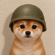 Coin image for J5op5dXqKJFuxiRsDCjFtphnMfhxaP2KhnBFwMkkpump