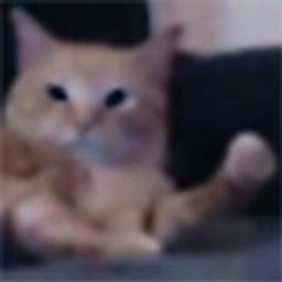 Coin image for J6PqSYfc4AcMXhkTFsNpDaimYmaFnUd5cEdjM2j5pump