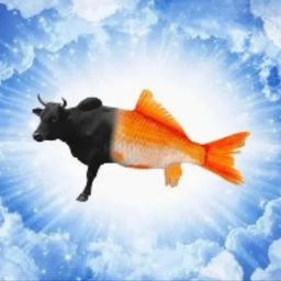 Coin image for JABCnGfdsQuR9ykLgpwnMqKKCkuLGiowv9SXGLi2pump