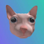 Coin image for JBkJuGrXQFD1PDLV9Vr9txqYrqTfmqq4RnVXzr95pump