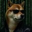 Coin image for JCJhCZZHhjCge6LbQAJVu8ZYjDWGiJvMDryxqebqkYXY