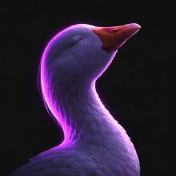 Coin image for JCNAT8o5yUtGSGXgn4cGrD9m6ChR1QN8wRiuWNXRpump