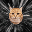 Coin image for JCPeeLCT7U6unsdtAxftLTfQ2RV3DpYJxUAbQg4Epump