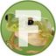 Coin image for JDD5SLYp9s8cKX1H3k3eBivjiPCFebsjZSboS8mGpump