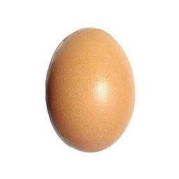 Coin image for JN8Z7xBtRAbydN1Em9R9XKzEHrgqWkZTBLqfebHpump