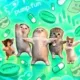 Coin image for KyGvSNNDJhuWwewjvrniMBfj9ArG92L8uiq7U3Npump