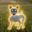 Coin image for Nnkm8u5HqCBhzfyoYvzj9eYp3VaseCuotZrn7pppump