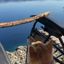 Coin image for NzvBdKBrNR7t5DKyvQs93UJoHSTisUoRqb88o9MK7fH