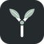 Coin image for PdtREY9H6Fp9jVMpG36aywtCgxTtsQZetmehKqgyern