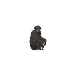 Coin image for T9XqGWESqeWfVRzs3LkkP4KXbUnLowSRhcDFVC8pump