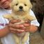 Coin image for UnsYMu57RBm5TFwwygjLeJqHfJA8jEmb5xpPMHYpump