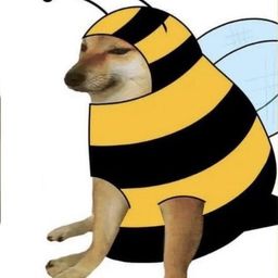 Coin image for VgUpfzwtFzMWCkcu1V2BVzUae1PpyMys1FUZVf2pump