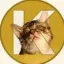Coin image for WLmzbJSTwgoT9aAtKgtzJz9d7aTtmtL5M5Mipuxpump