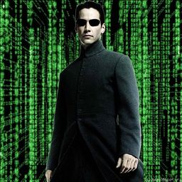 Coin image for XAADEbtCdM89NJMbfbsuy8m2XnzhV5kcxGKwWzPpump