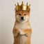 Coin image for XoUF3cYFkHgtfogEzErFkvGVa8Auu8cufDmXMwFVdZq