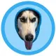 Coin image for Yg9MwDeSsZTSZLwefThH5kWRSGE6zVvXt9upf2apump