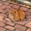 Coin image for Yu5ApQ2DwLNB8uUge9p8WqS4ziXKT9QjSKFotPspump
