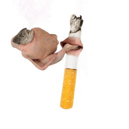 Coin image for YuRjvSrtZHYJw42HajT4FQXf6SyMMCjw2b6aPhWpump